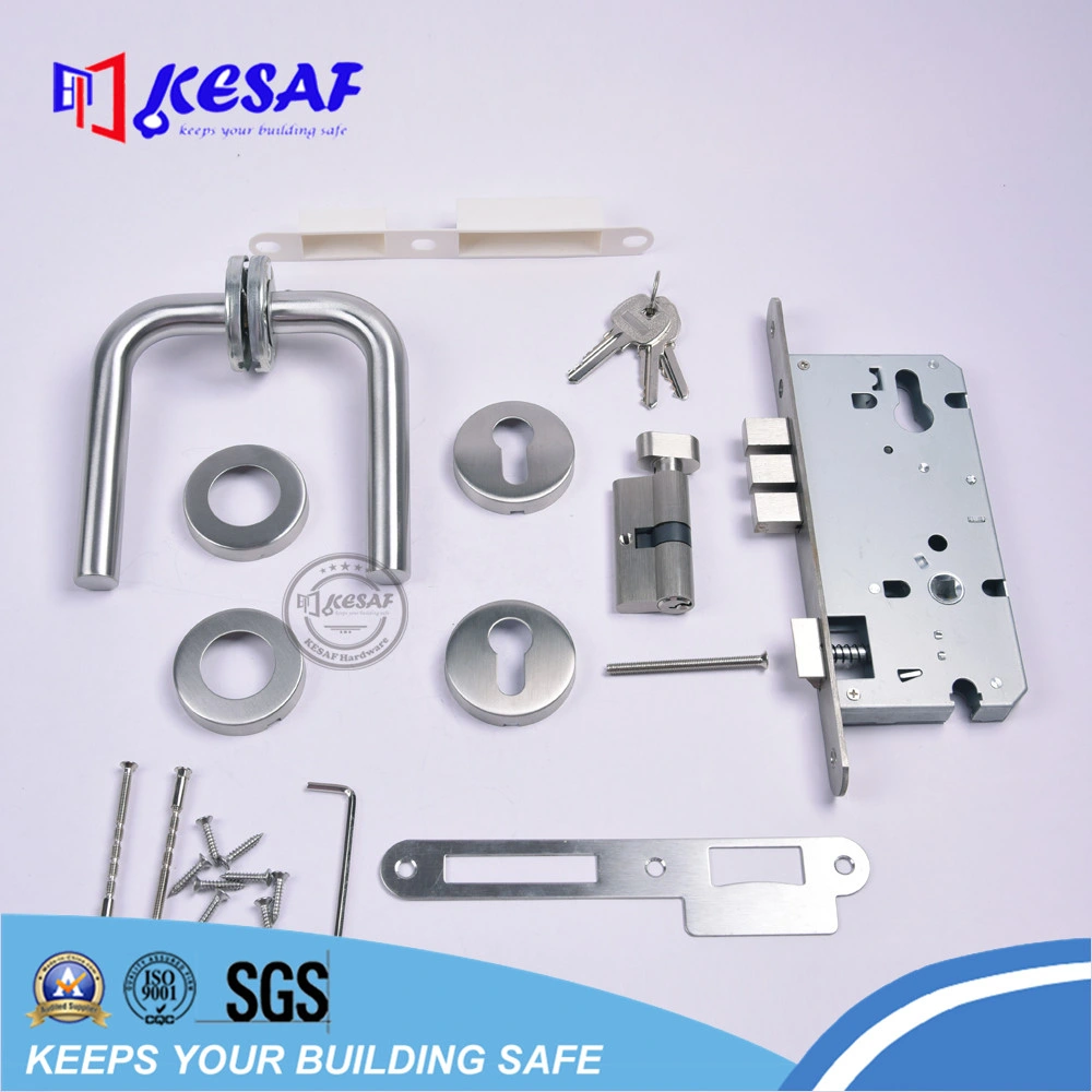 Stainless Steel Handle Lever Door for Furniture