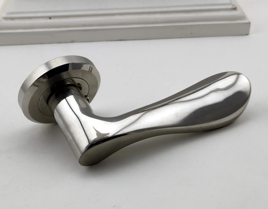 High Quality Stainless Steel Hollow Tube Lever Handle (X555X31 SS)