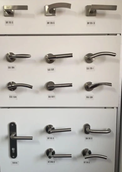 High Quality Stainless Steel Hollow Tube Lever Handle (X555X31 SS)